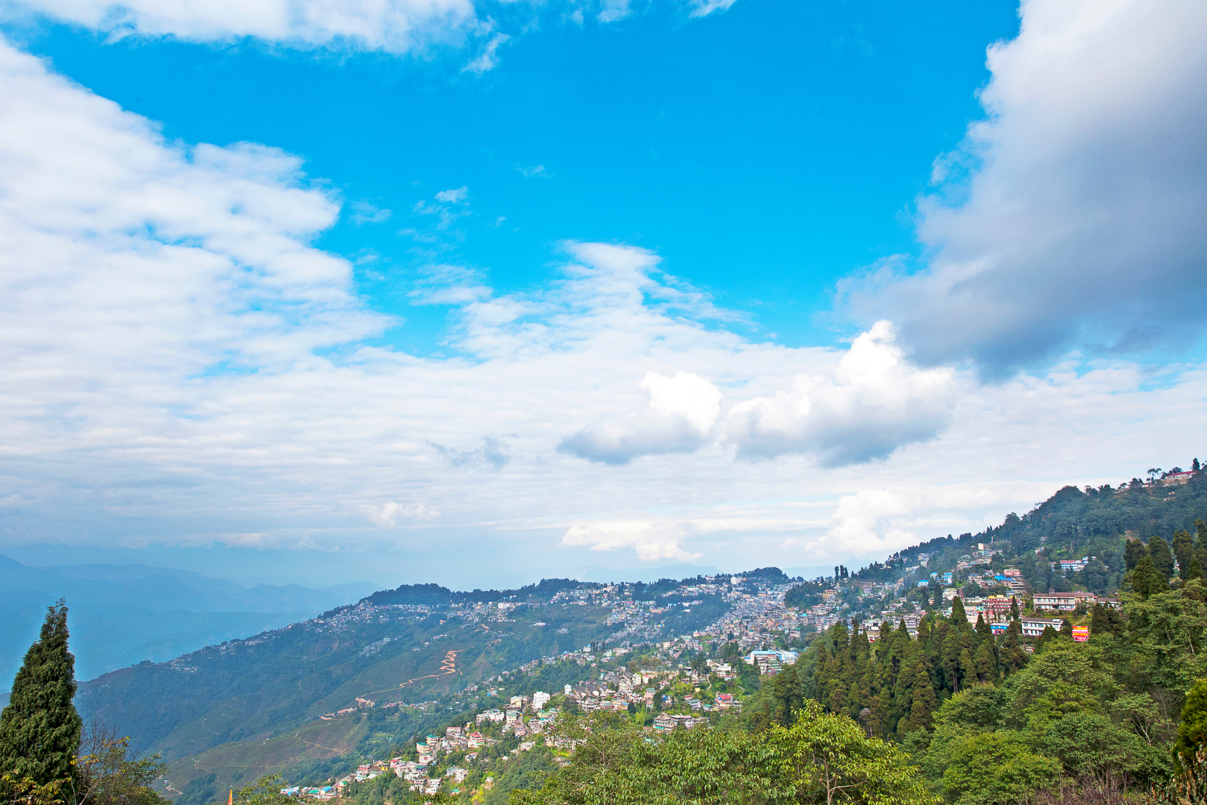 kalimpong, west bengal (4).webp